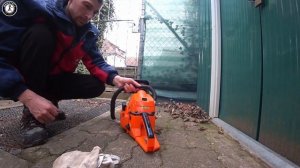 Фундук или лесной орех. Как правильно обрезать орешник