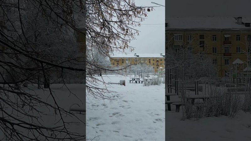 Лесная сказка посреди города ☃️