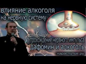 Влияние алкоголя на нервную систему человека