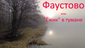 Видеоминутка. Фаустово или Ежик в тумане. 09.11.2023.