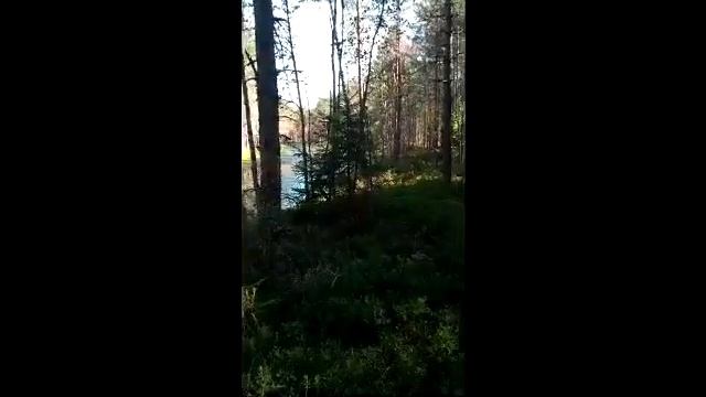 Всяк кулик свое болото хвалит. Я -свое смотреть онлайн