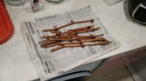 Как сохранить черенки винограда до весны