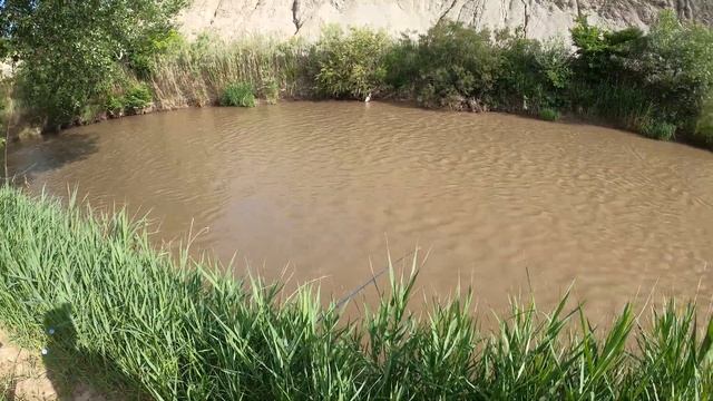 ПРОВЕРЯЮ ЗАКИДУШКИ!ОСТАВИЛ НА НОЧЬ, КТО ТО СЛОМАЛ КРЮЧОК?РЫБАЛКА2022 РЕКА КУМА! СТАВРОПОЛЬСКИЙ КРАЙ смотреть онлайн