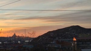 НИЗКИЕ ТЕМПЕРАТУРЫ ДЛЯ ОРХИДЕЙ! КАКИЕ ТЕМПЕРАТУРЫ СПОСОБНЫ ПЕРЕЖИТЬ ОРХИДЕИ БЕЗ УЩЕРБА ДЛЯ ЗДОРОВЬЯ