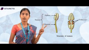 DOUBLE FERTILISATION #biology #NEET #Medical Aspirants #Biology360