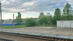 Ржаница. Жуковский район. Брянская область.  14.05.2023.