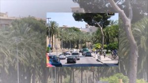 Пусть тебе приснится Пальма де Майорка