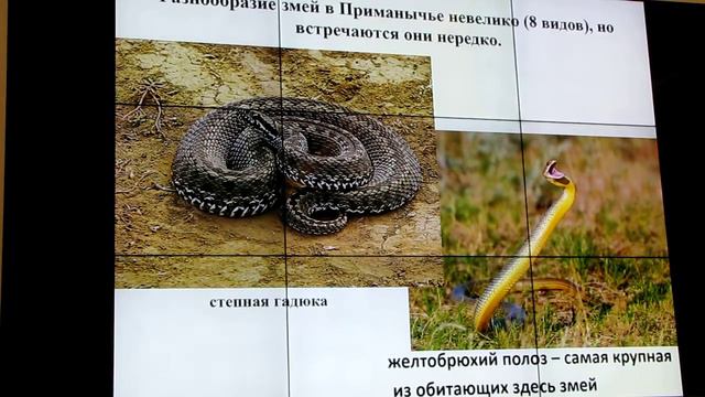 Виктор Федосов, Приманычье и его обитатели, часть-3 смотреть онлайн