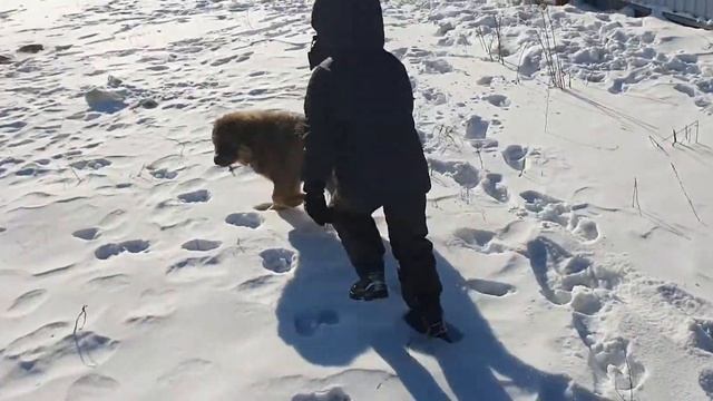 13 февраля 2021 г. БАНХАР/ ХОТОШО смотреть онлайн