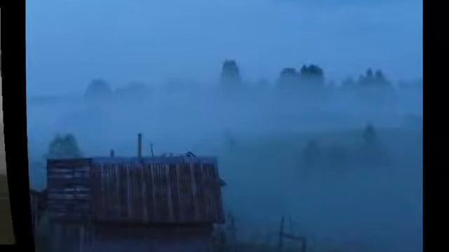 Туманы туманы!