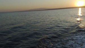 Max Gazzè-La cosa più importante