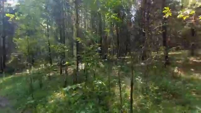 ГАЗ-66 по грязи в ЛЕС! Бездорожье! On The Legendary GAZ-66 Truck Through The Mud Into The Forest