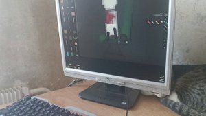 играю  в  пипел пле   граунт