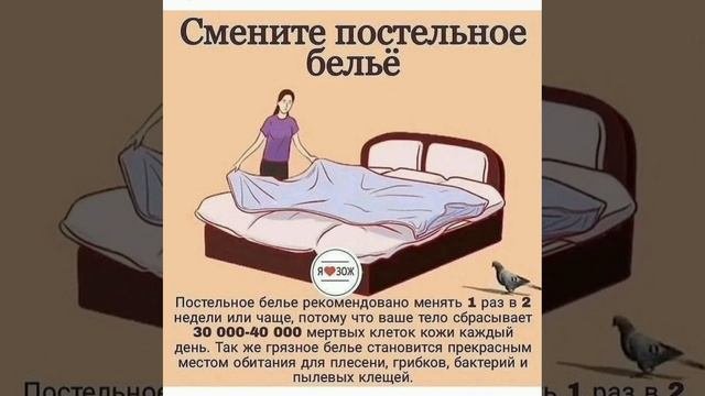 ЗАМЕНА ПОСТЕЛЬНОГО..КАК ЧАСТО?