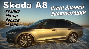 Skoda A8: Итоги 2х Зимовок (2024)