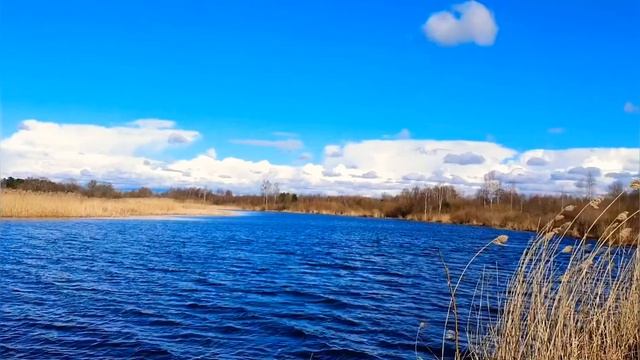 ..за каждый день ,ТЕБЕ СПАСИБО смотреть онлайн