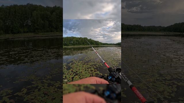 Щука на неогруженный силикон  #fishing #рыбалка