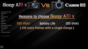 Camera Comparison : Sony A7R V vs Canon R5