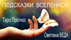 Подсказка ВСЕЛЕННОЙ #таро #онлайн Светлана ВЕДА
