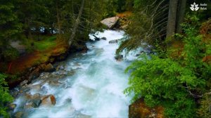 Relaxing Turquoise Mountain River. (10 hours Nature Sounds).