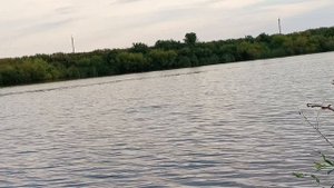 Поехали на рыбалку с Отцом.