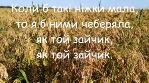 "Ой на горі жито" мінус зі словами
