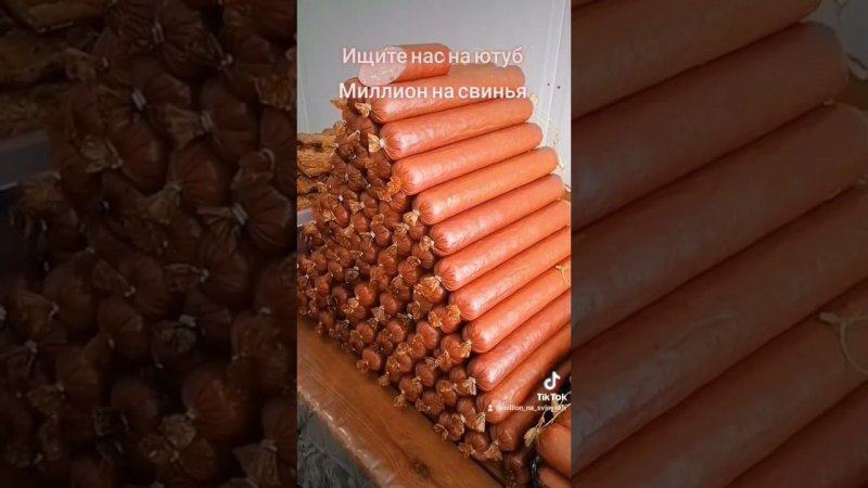 @million_on_pigs #натуральная колбаса#деревенскаяжизнь #хозяйство #pig #деревня свиньи#пьетрен