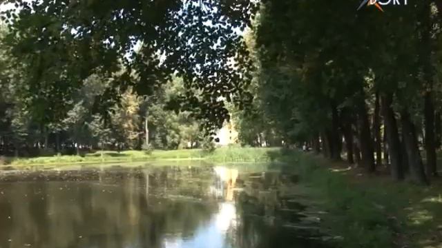 Что такое «Аллея России»? И станет ли сосна символом Подмосковья? смотреть онлайн