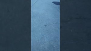 Доводчики лансер 9