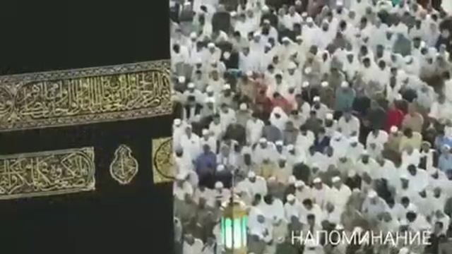 Красивые насиха братьям