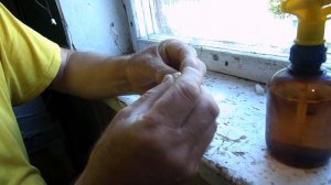 Пересадка маток из клеточек  в искусственные  маточники