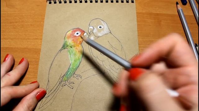 Рисуем неразлучников на крафте!/ Draw inbreeders!!! смотреть онлайн