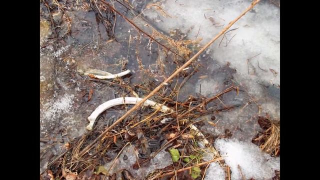 Беззаконие чиновников смотреть онлайн