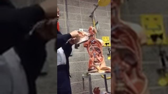 GIT Lab Demo смотреть онлайн