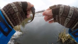 Мормышинг 2018  Ловля спиннингом на мормышку в январе