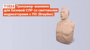 T1024 - Тренажер-Манекен для Базовой СЛР со Световыми Индикаторами с ПО (Brayden)