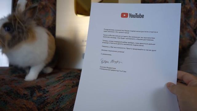 КОШЕЧКА МУРКА 24 ЧАСА на ВИДЕОЖАРЕ! Фан Встреча А ну-ка Давай-ка! ЗОЛОТАЯ КНОПКА КАНАЛА смотреть онлайн