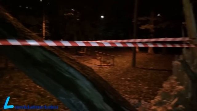 Дерево упало около детской площадки на юго-западе столицы