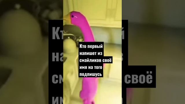 НАПИШЕШЬ?#KNOPS#КНОПС. смотреть онлайн