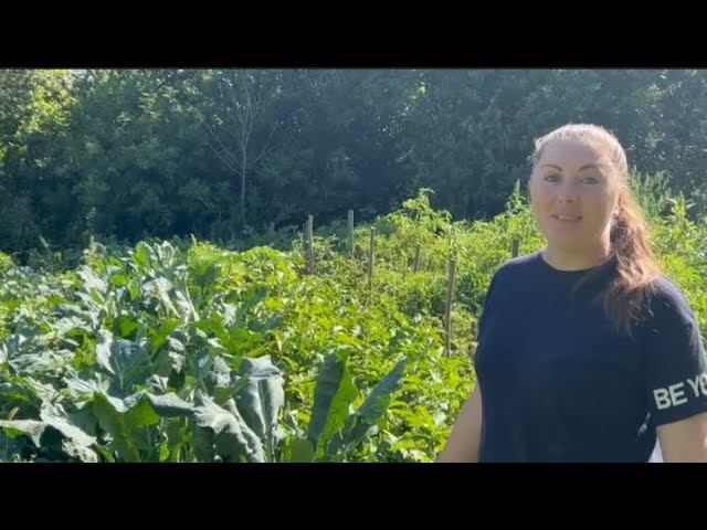 Баклажаны по-грузински на зиму//Овощное рагу с курицей.