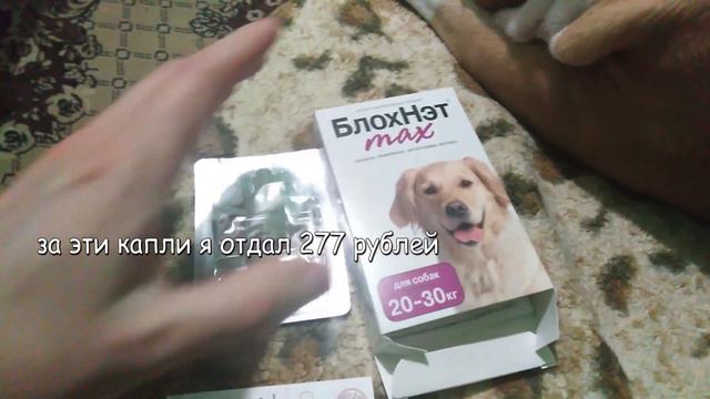 Купил амстаффу капли от клещей и блох смотреть онлайн