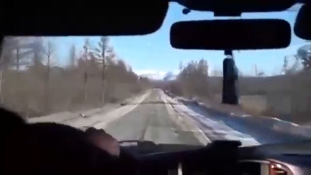 С Днём шофера 29.10.2023 год. Вся жизнь в дороге смотреть онлайн