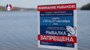 Свыше 10 тысяч мальков сазана выпустили в Верх-Нейвинское водохранилище