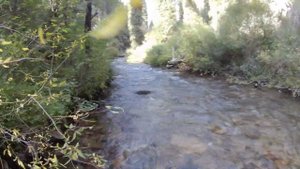 Рыбалка на радужную форель в горах Заилийский Алатау!