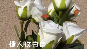 Velvet rose artificial flowers Silk Real Touch Artificial rose Flowers for Wedding Home Decor