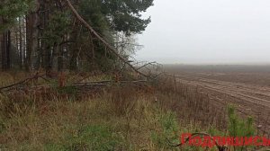 МЕТАЛОКОП! БОМБИЧЕСКИЕ НАХОДКИ ТАК И ПРУТ ИЗ ПОД ЗЕМЛИ!