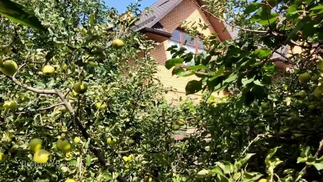 Мария и Андрейка Аудио рассказ смотреть онлайн