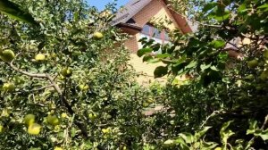 Мария и Андрейка Аудио рассказ