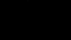 Какие типы телосложения бывают у людей?