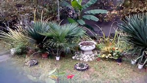 Сочи Дом 100 метров за 3,2 млн на Мацесте